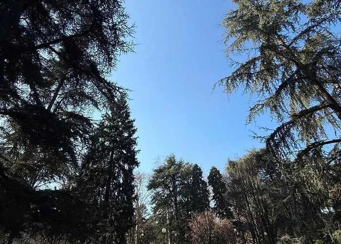 Rooms,reggio Con Bagno Privato, Tv, Clima , Wi-fi 4* Reggio nell'Emilia